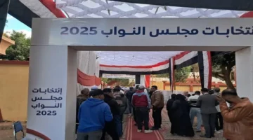 تصعيد الطعون الانتخابية في طلخا بالدقهلية يغير معالم النتائج